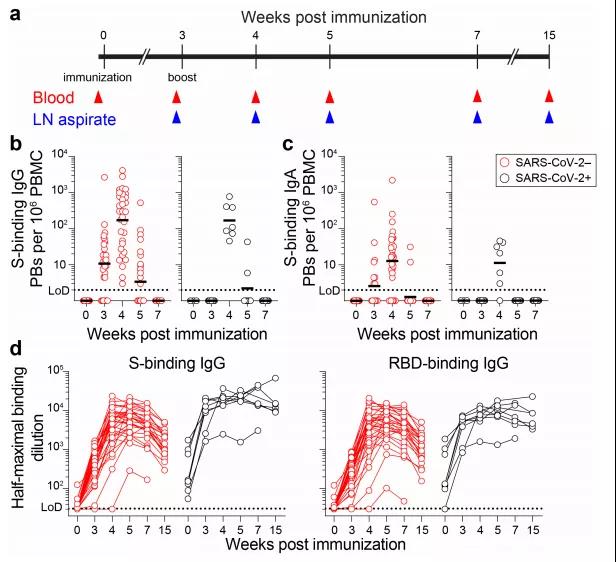 1625143399329108.jpg 微信圖片_20210701204050.jpg