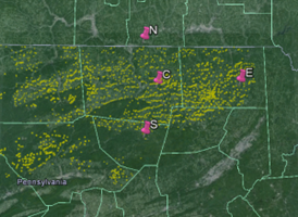 Dual_Carbon_Goals_11 (1).jpg