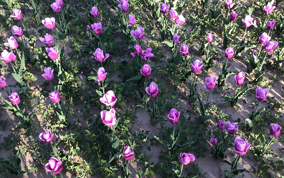 1722242320652921.jpg yujinxiang20211.jpg