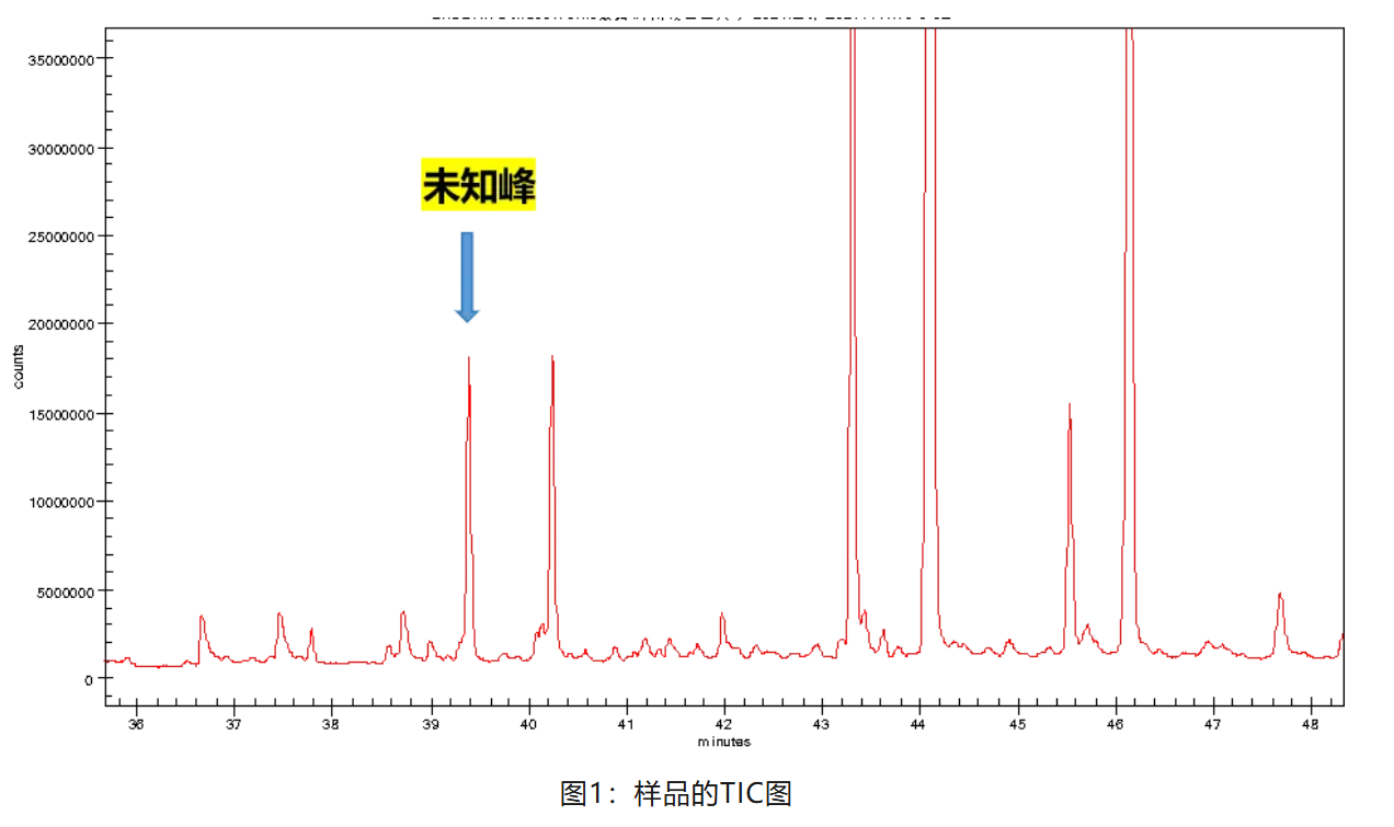 1739951669290766.jpg 1.jpg