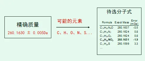 1741660444103690.jpg 16.jpg